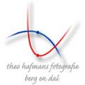 Onze portfolio
